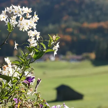 Chalet Harmonie Inzell Eksteriør billede